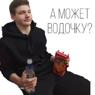 Стикер Shaminka house - 11