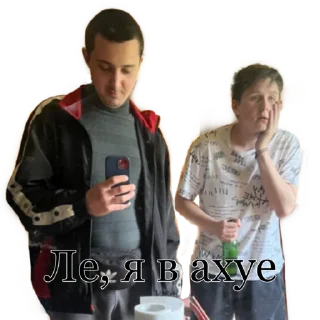 Стикер Shaminka house - 6