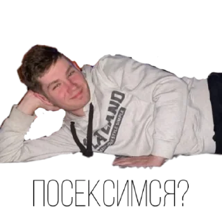 Стикер Shaminka house - 8