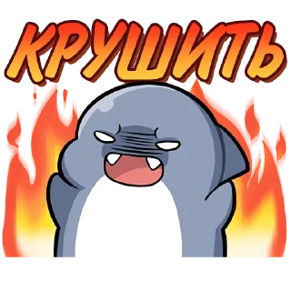 Стикер Акула Шахими
Наш канал - @kvzhru - 2
