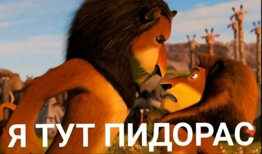 небо на открытом воздухе млекопитающее