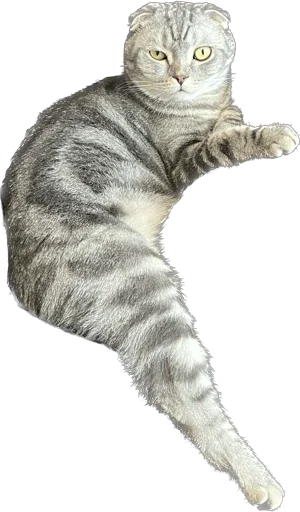 Стикер Shebshen - 1