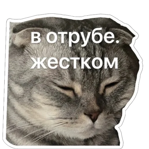 Sticker Shebshen - 1