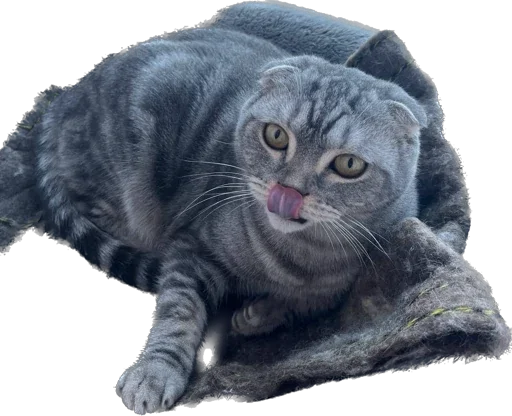 Sticker Shebshen - 1