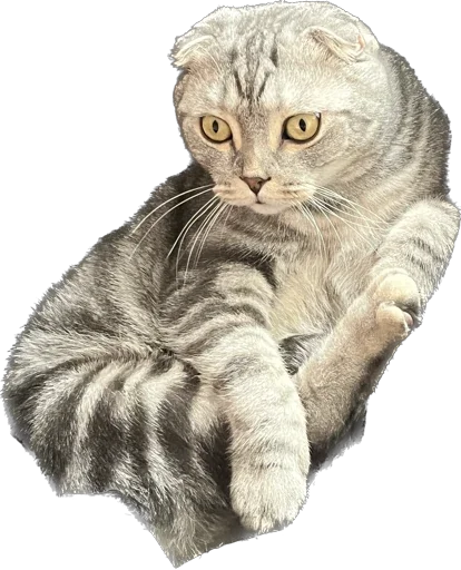 Стикер Shebshen - 1