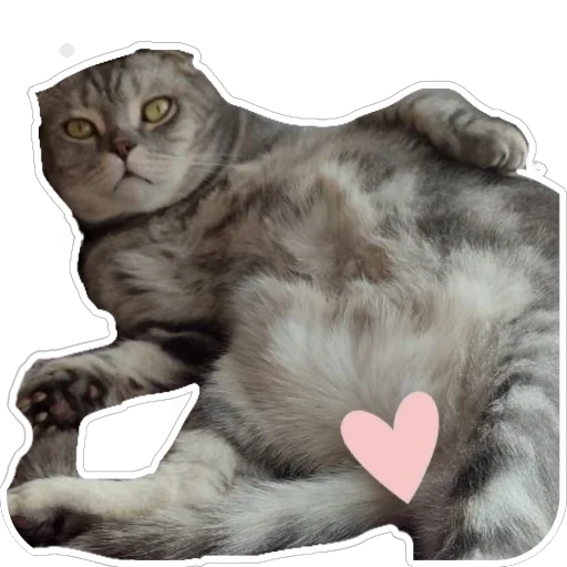 Sticker Shebshen - 1