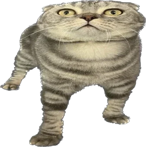 Sticker Shebshen - 1