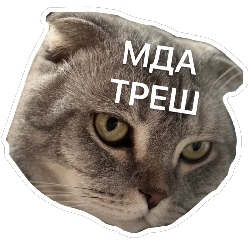 Стикер Shebshen - 1