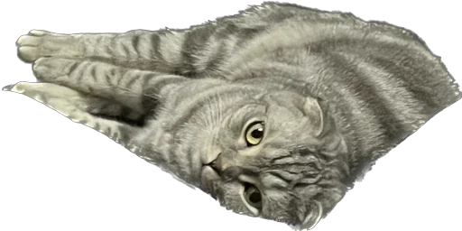 Sticker Shebshen - 1