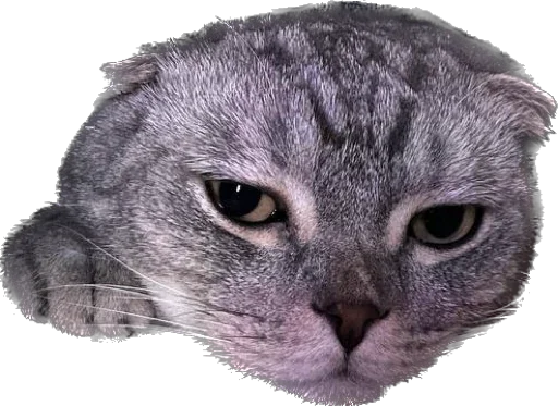 Sticker Shebshen - 1