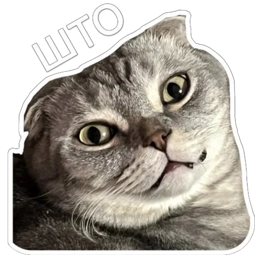 Sticker Shebshen - 1