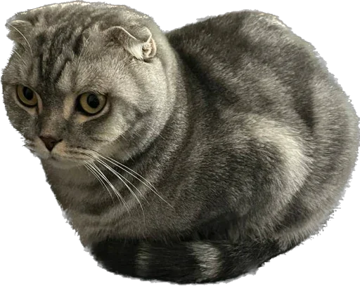 Стикер Shebshen - 1