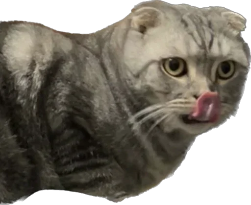 Sticker Shebshen - 1