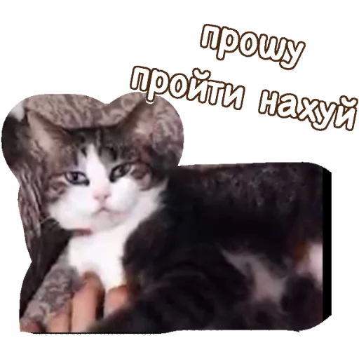 Sticker Абоба - 10