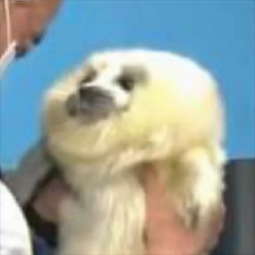 Sticker _sherlock_ - 6