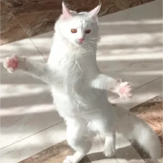 Sticker Шерстяные - 0