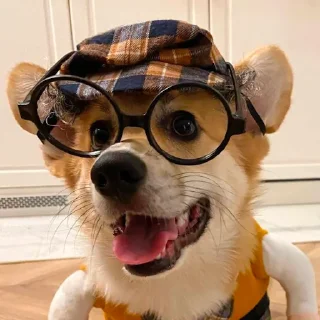 Sticker Шерстяные - 9