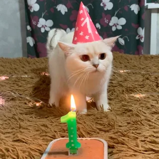 Sticker Шерстяные - 4