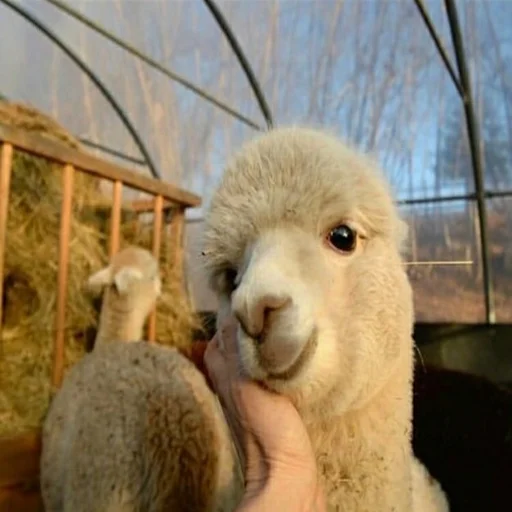 Sticker Штікери - 10