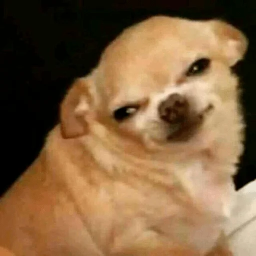 Sticker Штікери - 9