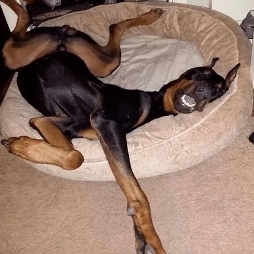 Sticker Штікери - 8