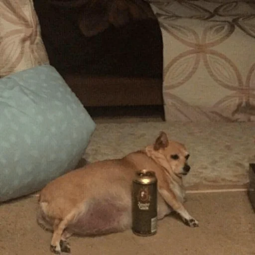 Sticker Штікери - 7