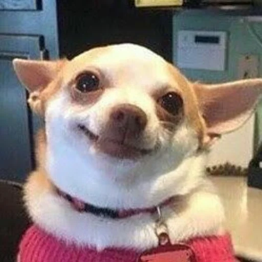 Sticker Штікери - 5