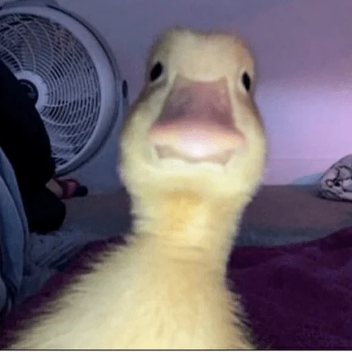 Sticker Штікери - 3