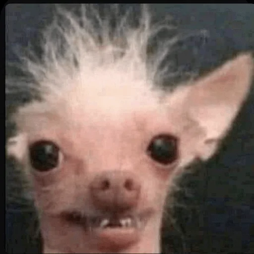 Sticker Штікери - 2