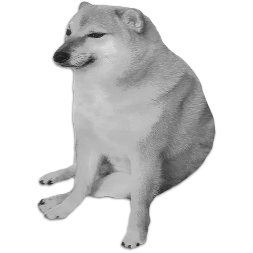 Sticker ShiBa iNU | @M4eHDi - 5