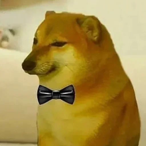 Sticker ShiBa iNU | @M4eHDi - 0