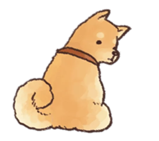 Shiba - 