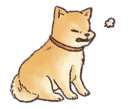 Sticker Shiba - 1