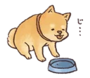 Sticker Shiba - 9