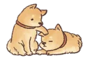 Sticker Shiba - 8