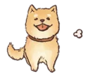 Sticker Shiba - 7
