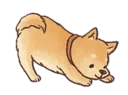 Sticker Shiba - 10