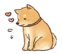 Sticker Shiba - 2