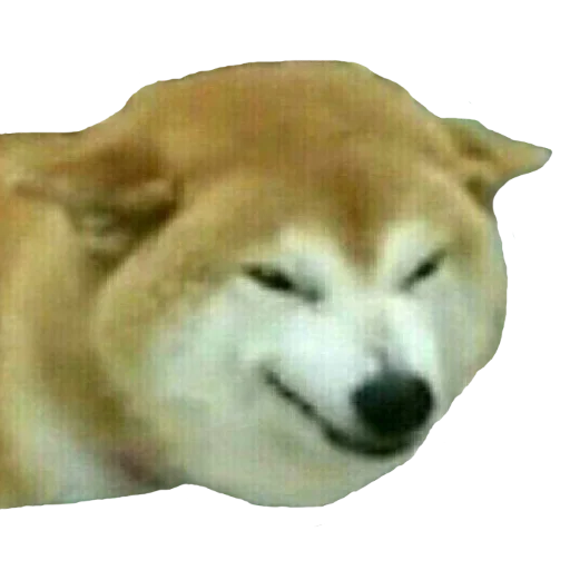 Shopping Cart Shiba - домашнее животное