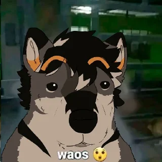 Sticker PocketShiba Stickers - 10