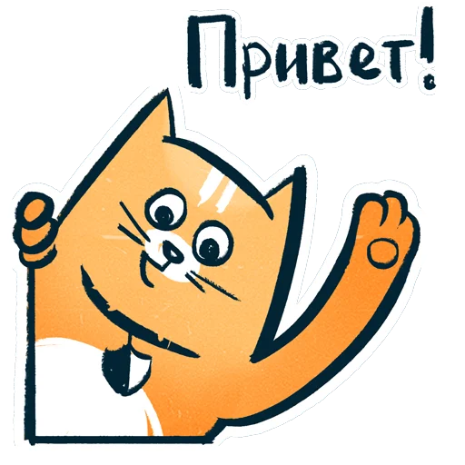 Шифрокот (@hidemyname_ru) - клипарт