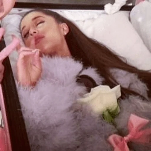 человеческое лицо комнатный Человек