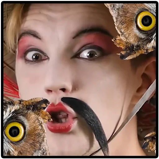 lipstick person owl