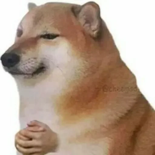 Sticker Шит пак @anime_stickerr - 11