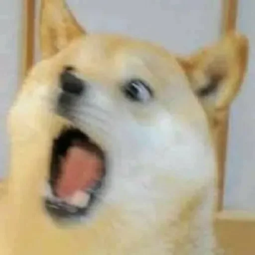 Sticker Шит пак @anime_stickerr - 7