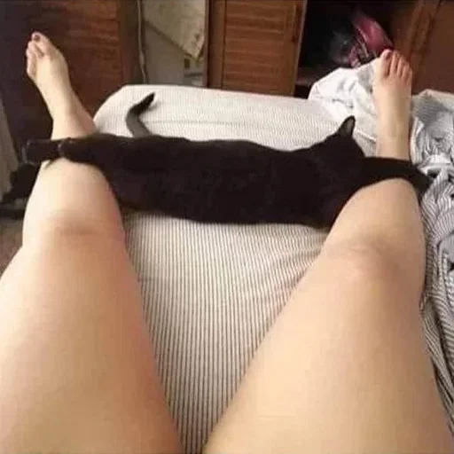 Стикер ShitStikersPack2 - 1