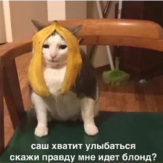 Стикер Залетай в @ShitStikers - 0