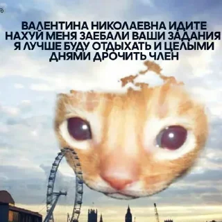 Стикер Залетай в @ShitStikers - 7