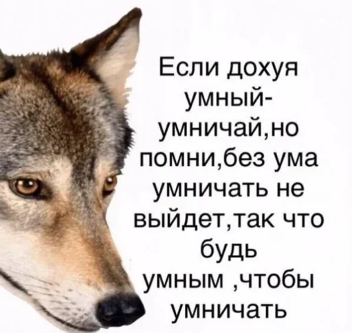 Стикер ShitStikerspack10 - 1