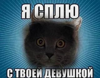 Sticker Всратые Стикеры  - @ShitStikers - 6